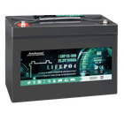 Акумулятор EverExceed LDP12-100 (12.8V100Ah)
