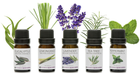 Zestaw olejków eterycznych Rio Pure Essential aromatycznych 5 x 10 ml (5019487087034)