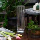 Ваза стеклянная Pasabahce Botanica 265 мм (43767)