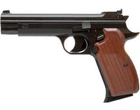 Пістолет пневматичний SAS P 210 Blowback - зображення 1