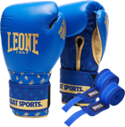Боксерские перчатки Leone GN220 DNA