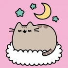 Картина за номерами Santi Pusheen. Солодкі сни 25х25 см (955023)