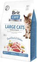 Сухий корм для кішок Brit Care Cat Grain Free Large Power Vitality