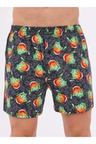 Семейные трусы Cornette 58(4XL) Серо-зелёный (101520)