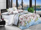 Комплект постільної білизни Tag Tekstil BR-12491 Полуторний