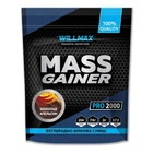 Гейнер Willmax Mass Gainer