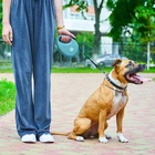 Поводок-рулетка для собак WAUDOG R-leash с контейнером для пакетов, светоотражающая лента, L, до 40 кг, 5 м, голубой