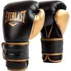 Боксерские перчатки Everlast Powerlock 2R Training Glove