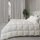 Одеяло пуховое MirSon Raffaello White №063 кассетное 90% пух Standart / 10% перо 220x240 см Зима+ (2200000075130)