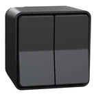 Двухклавишный переключатель Schneider Electric Mureva Styl IP55 чёрный MUR35022