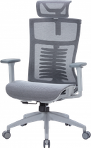 Крісло офісне Officepro Balance oc620-g-dg-dg