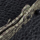 Ніж складаний TEKUT Lizard LK4107 (довжина: 13 9cm лезо: 5 9cm) - зображення 6