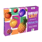 Настольная игра «Изучай мир. Фрукты» на украинском языке 30805S