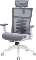 Крісло офісне OfficePro Balance OC620-W-DG-DG
