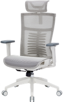 Крісло офісне OfficePro Balance OC620-W-LG-LG