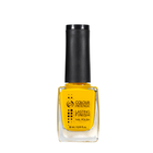 Лак для ногтей Colour Intense 10 мл NP-303 № 250 Желтый