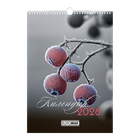Настенный календарь А3 BuroMax Emphasis on color "Акцент на колір" 2026 200 г/м2 13 листов на пружине (BM.210602)