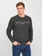 Свитшот мужской Tommy Hilfiger 10843.3 S Темно-серый