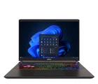 Ноутбук MSI Vector 16 HX AI Ultra 7 ( A2XWHG-256PL) 255HX/16GB/1TB/Win11 RTX 5070Ti