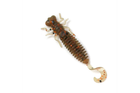 Силіконова приманка LARVA LUX 2 дюйми колір 006 00620LL FANATIK