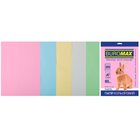 Папір офісний кольоровий A4 80г/м 20л PASTEL 5кольорів BUROMAX