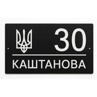 Адресна табличка 350x170мм із дзеркальною підкладкою металева Морозний Січень (з можливістю вашого логотипу на замовлення) (TN0010)