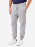 Спортивные штаны мужские U.S. Polo Assn 11A920-8J00A 2XL Светло-серые (786660460629)