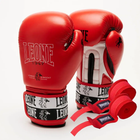 Боксерские перчатки Leone GN208 Iconic