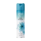 Освіжувач повітря iFresh 300 мл аерозоль sea breeze (12)