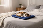 Матрац Loft для собак або котів Синій, 500х700