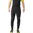 Брюки Dynafit Trail Reflective Pnt Mns L