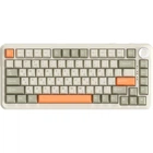Клавиатура Ajazz AK820 MAX Flying Fish Switch Retro Colour (AK820MAX-FF-R) [142203]