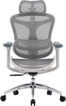 Игровое кресло Sihoo DORO C300L Mesh White (DORO-C300L-A3-102)