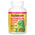 Магній цитрат дитячий , Magnesium Citrate, Natural Factors, BigFriends, 60 жувальних таблеток (Жуйка)