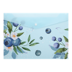 Папка на кнопці А4 BUROMAX 3943-17 ARABESKI морська хвиля (12) /BM.3943-17/