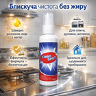 Універсальний засіб для чищення V Clean Spot 100 мл антижир, для кухні, плити, потужний
