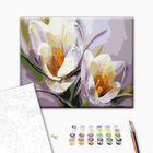 Картина по номерам Brushme Крокусы BS5828 40х50см