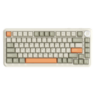 Беспроводная механическая клавиатура Ajazz AK820 MAX Flying Fish Switch Retro Colour - 8000 mAh (AK820MAX