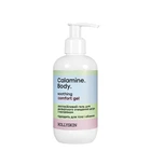 Гель для очищения кожи лица и тела Hollyskin Calamine.Body, с каламином 250 ml