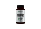 Трибулус Sporter Tribulus Terrestris 550 mg 60 капсул в упаковці (VMD-1207453)