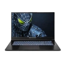 Ноутбук 17" Dream Machines RG5050-17 17.3", i9-14900HX, 32GB, 1TB, RTX5050-8, DOS (RG5050-17UA24)