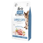 Сухой корм для кошек Brit Care Cat Grain Free Large Power Vitality для взрослых кошек больших пород с уткой и курицей