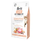 Сухой корм для кошек Brit Care Cat GF Sensitive Digestion & Delicate Taste для привередливых с индейкой и лососем