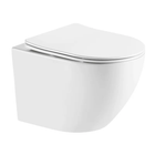 Унитаз подвесной Mixxus Premium Ellipse-0301-T3 495x365x365mm, система смыва Tornado 3.0 (MP6461)