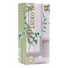 Дитячий конструктор Eucalyptus Leaves 33045-1 серії "Florist", 102 деталі