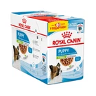 Упаковка полнорационный влажный корм для собак Royal Canin Puppy X-Small