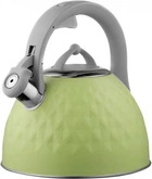 Чайник Ardesto Gemini 2.5 л (AR1947KG)