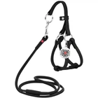 Круглая кожаная шлея WAUDOG Glamour N1 с поводком для кошек и мелких собак 105 см 6 мм Черная (34011)