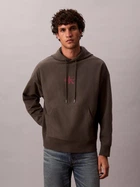 Худи мужское Calvin Klein 4RC281G-PAR(Beluga) M Коричневое (196669465486)