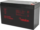 Аккумуляторная батарея Merlion HR1225W 12V 7Ah (YT15701)
